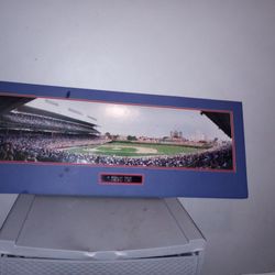Chicago Cubs Baseball Game 