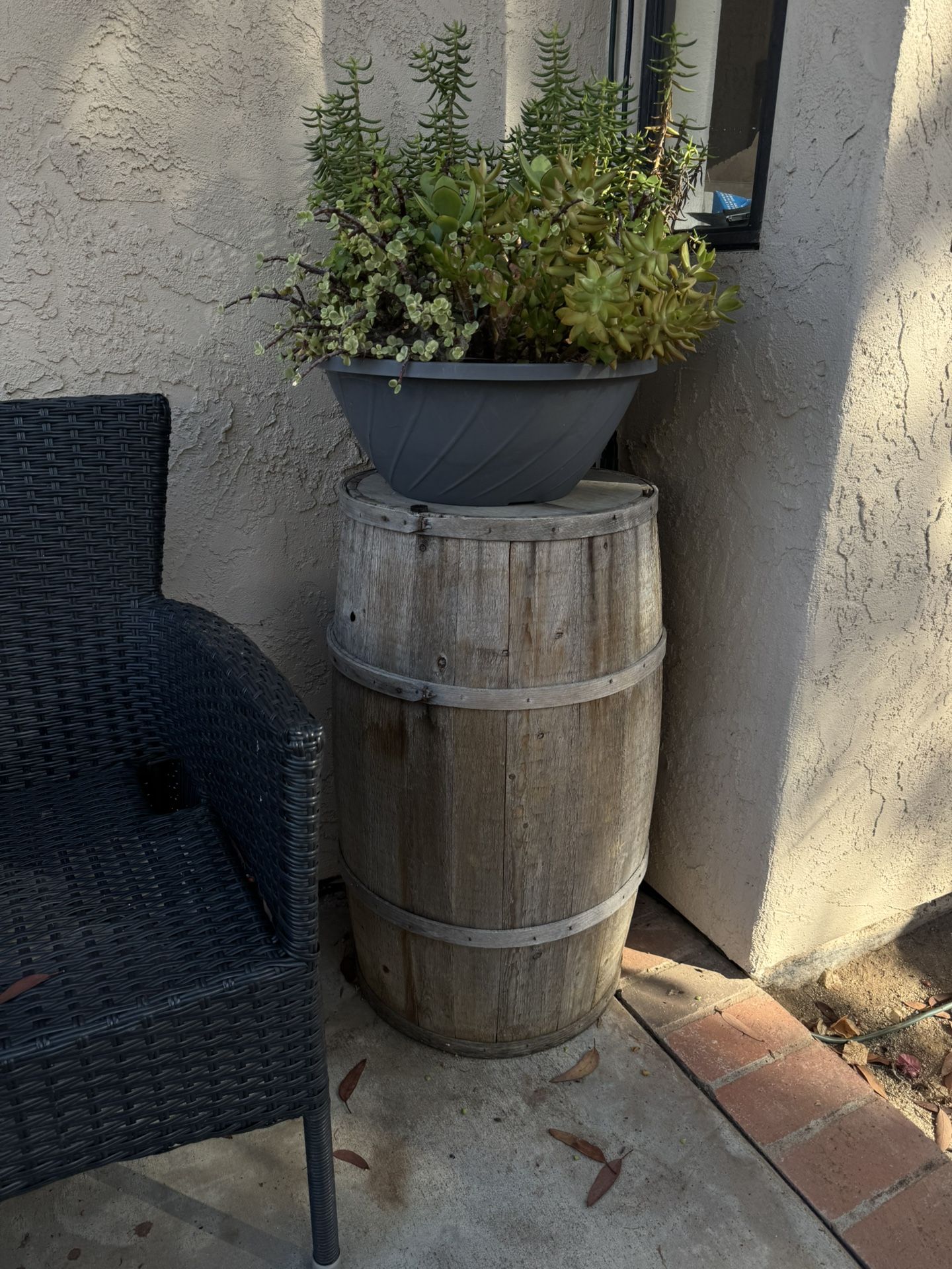 Small Wood Barrel With Succulent Plant