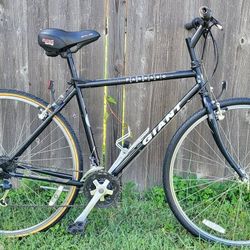 Giant 700C Hybrid Wheels Adult Bicycle 21 Speed Bike  Ready To Go 