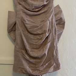 Sparkly Blush Champagne Tube Dress w/ Bow (Small)