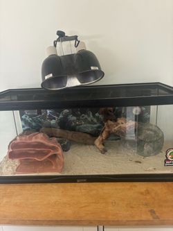 Reptile tank