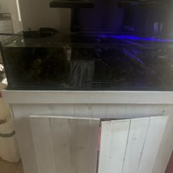 Saltwater Fish Tank Steal Of Deal!!
