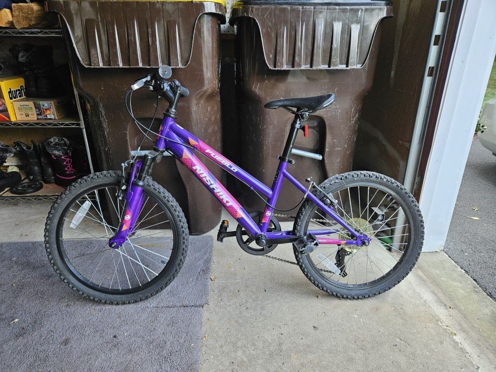 20 Inch Youth Bike