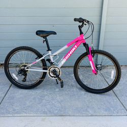 NISHIKI PUEBLO YOUTH MOUNTAIN BIKE 24” Wheels 