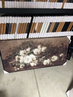 Clearance Framed Wall Art 60” x 30” - $40 Each | Original $169.99