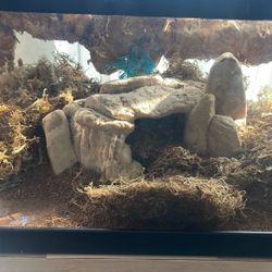 Realistic Snake Tank “toy” decorations 