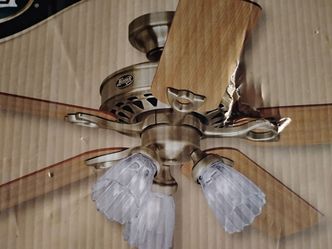 Ceiling fan