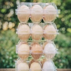 Fresh farm rainbow eggs from free range chickens. 