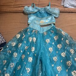 Disney Costume 