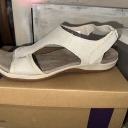 Women’s Sandals