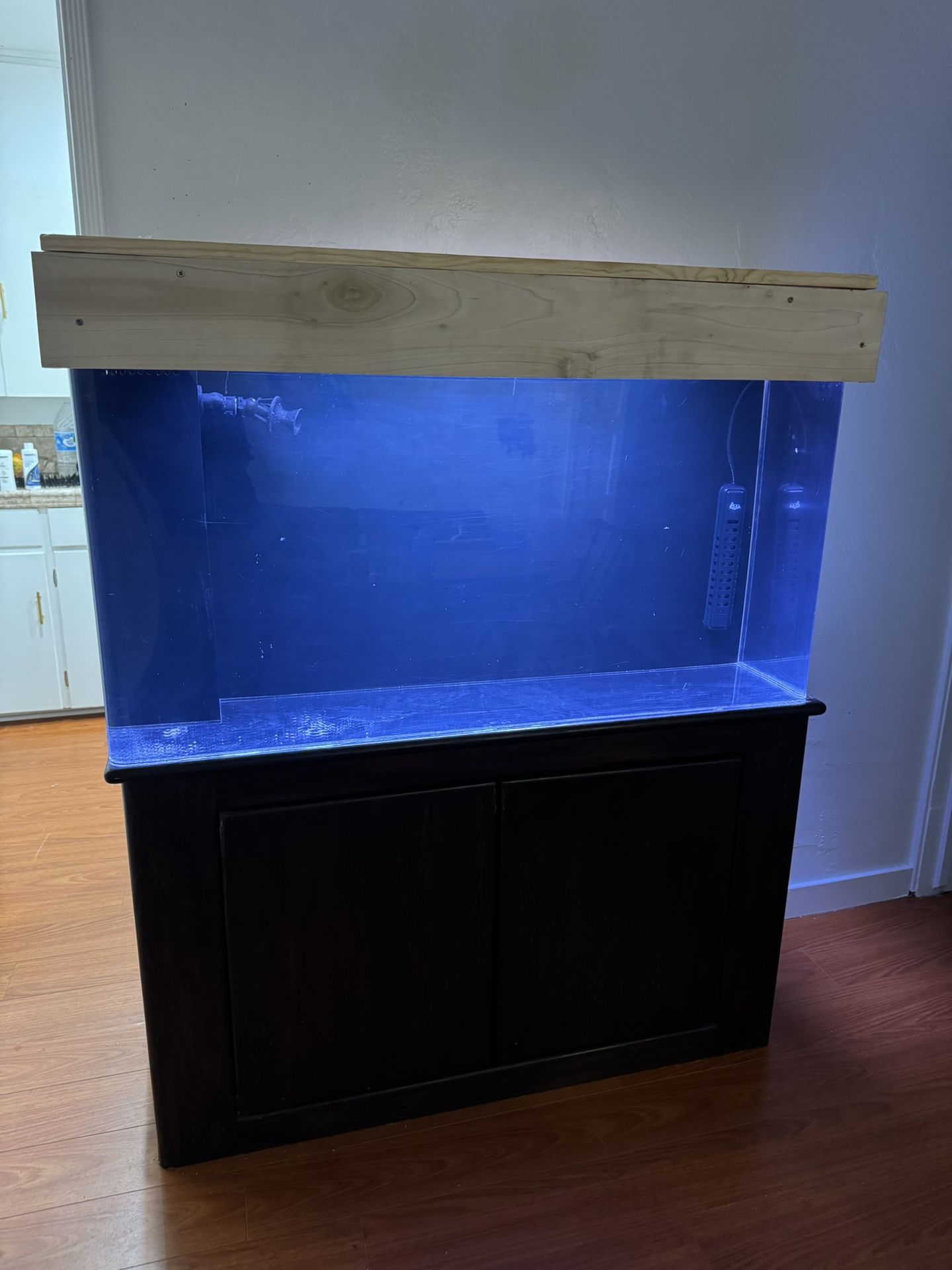 80 Gallon Acrylic Aquarium Setup