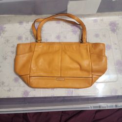 Coach Carrie Tote