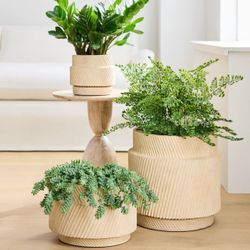 Cb2 Asher Ceramic Planters