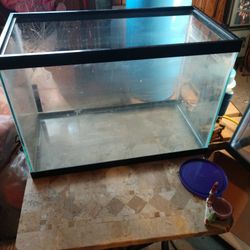 Fish Tank