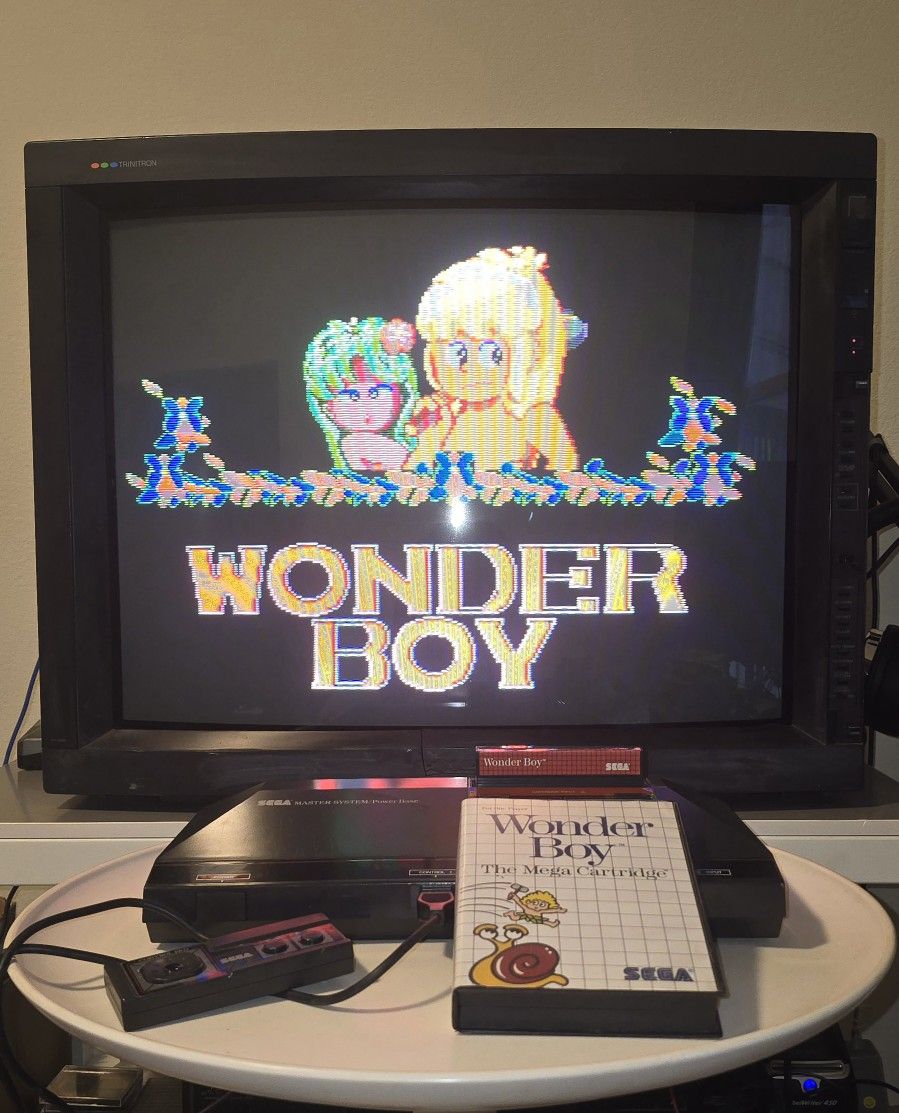 Wonder Boy for Sega Master System Complete in box CIB Great Shape