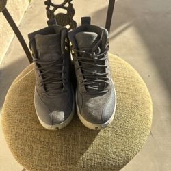 Jordan 12 Cool Greys 