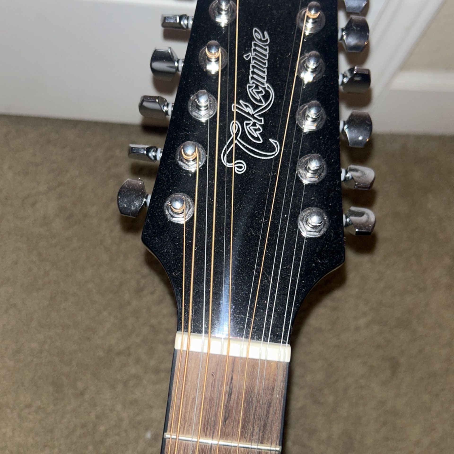 Takamine Guitar