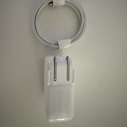 Apple 70W Charger 