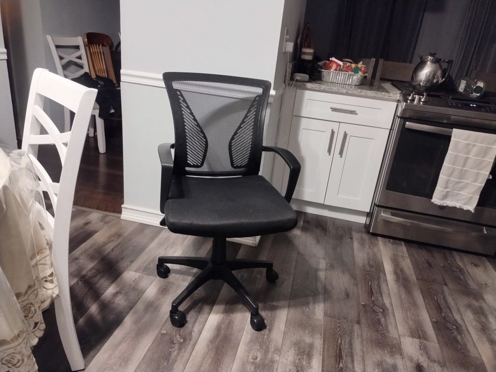 Ergo Office Chair