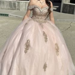 Quinceañera Dress only