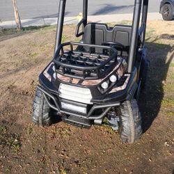 Dynacraft Realtree 24V UTV Power Wheel 