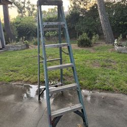 Werner 6 Ft Aluminum Ladder