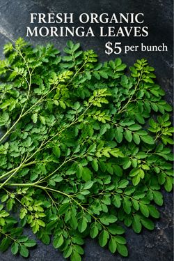 Fresh Organic Moringa Leaves – $5/Bunch