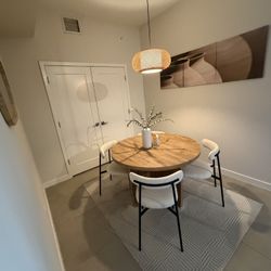 Entire Dining Set, Rug Frames Mirror And Lamp