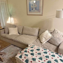 Sectional Couch Can Deliver