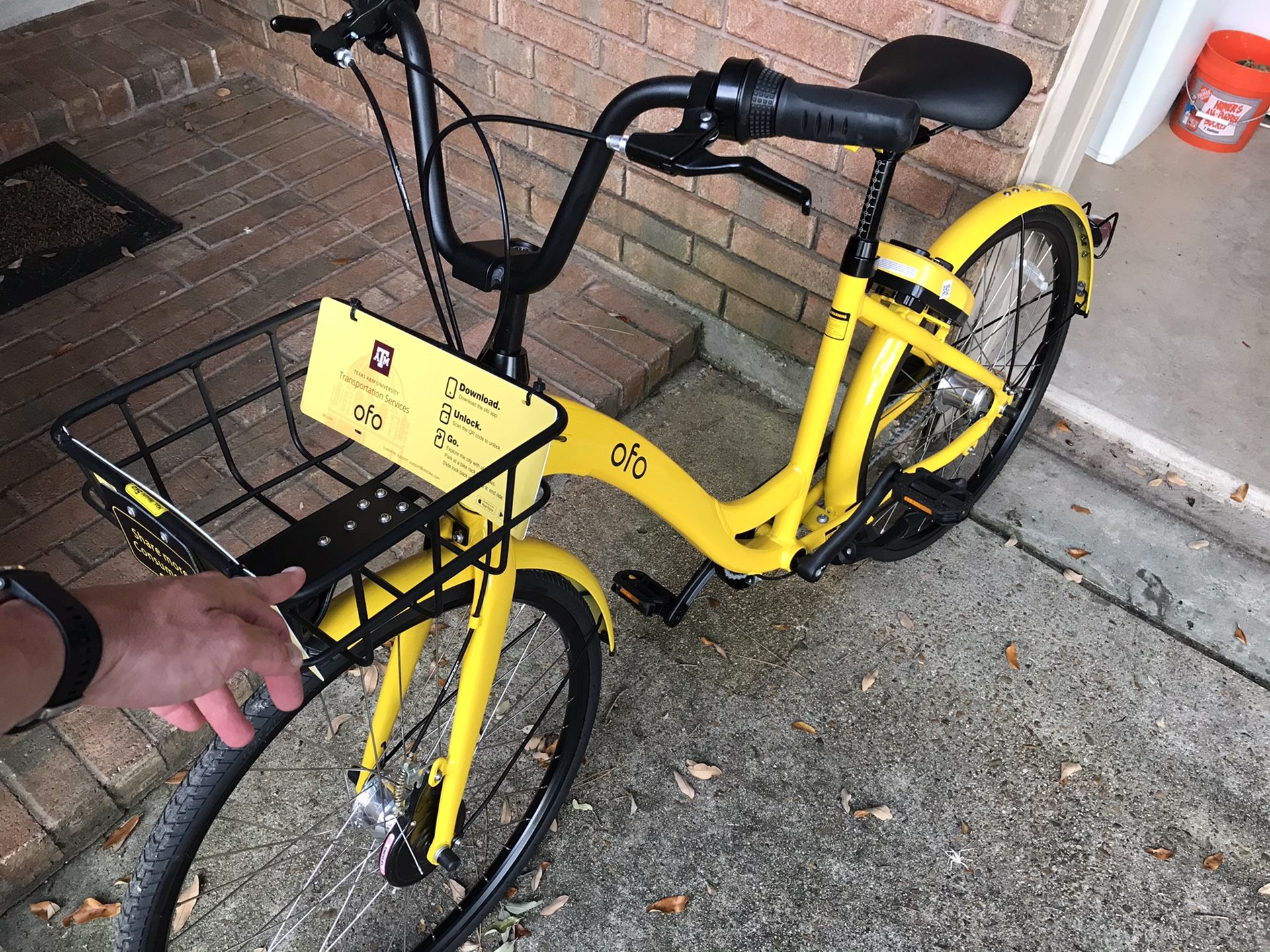 OFO cruiser 26inch bike adult or youth. NEW