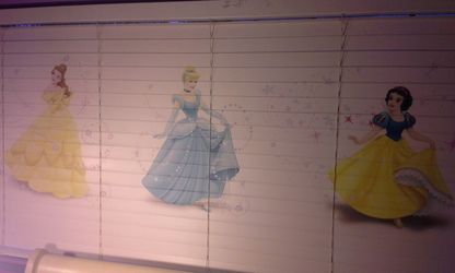 Disney princesses blinds 72 x 36
