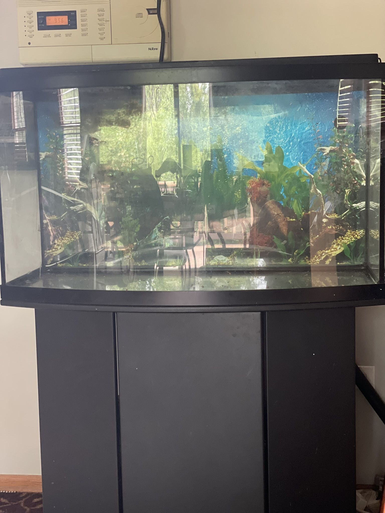 42-Gallon Aquarium Setup w/ Stand, Accessories – $300 (Leak-Free & Ready to Use)