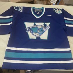 Nwot Authentic Worcester Ice Cats AHL Hockey Jersey 90’s Mens 48 Vintage Blue