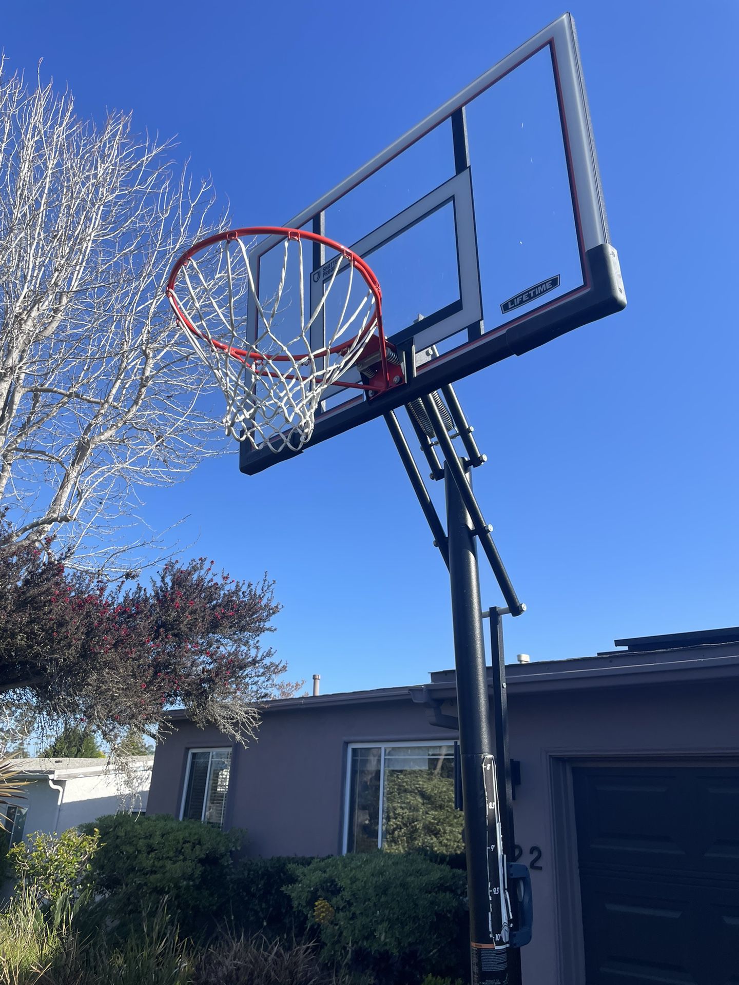 Basketball Hoop, Lifetime 50 Inch