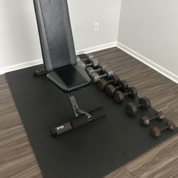 Bench And Barbells