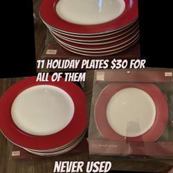 new holiday dinner plates- 11 plates