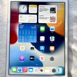 iPad Mini 4 – Great Condition