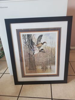 Framed Mallard Duck Wildlife Art Print