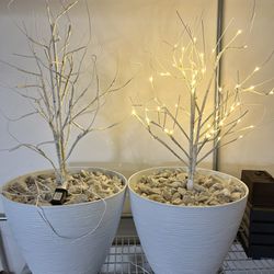 Lighted Artificial Foliage