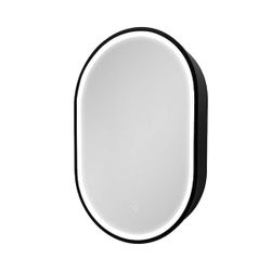 31 in. W x 21 in. H Oval Metal Framed Bath Medicine Cabinet with Mirror