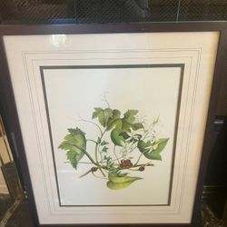 Botanical Art from Chelsea House in Excellent Condition 20.5” x 24” Smoke free household 