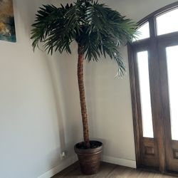10 Foot Tall, Indoor Palm Tree With Full Base And Planters Pot