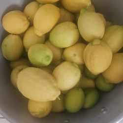 Yellow Lemons