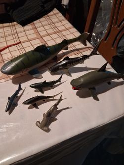 Small shark toy