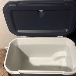 Coleman coolers percfe conditions