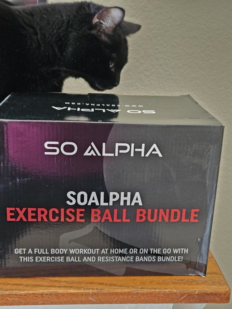 So Alpha Exercise Ball Bundle New In Box