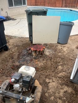 🪵Stump Grinding🌳Tree trimming