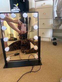 Light up vanity mirror