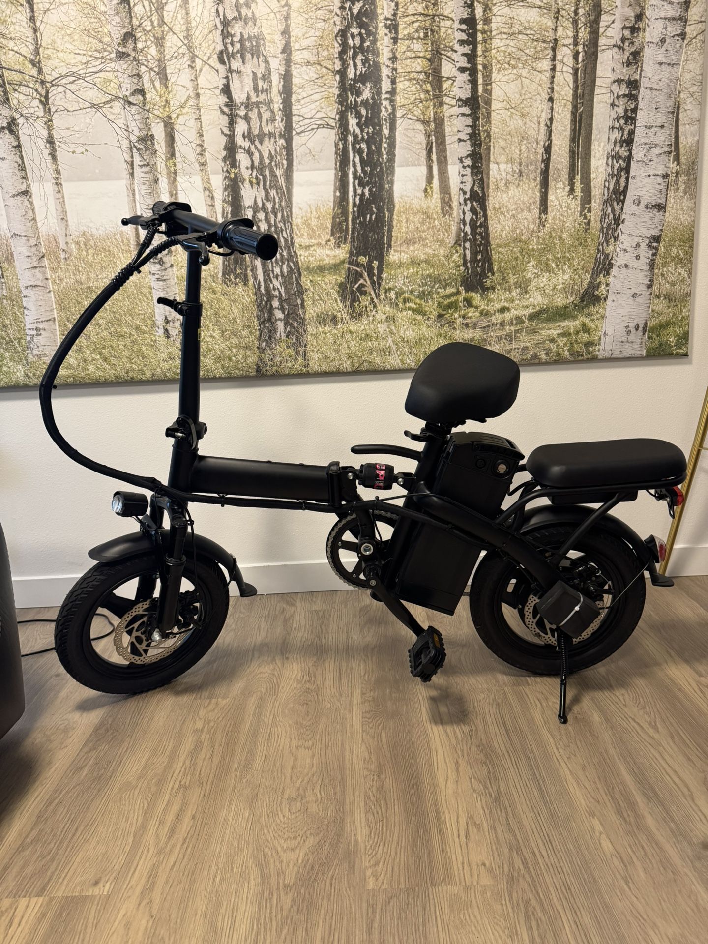 A1 14inch Electric Bike