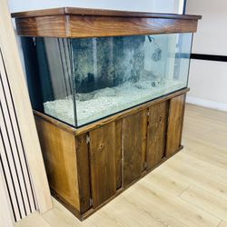 Aquarium 